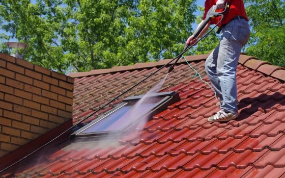 Reparación de tejados y goteras en multidominio